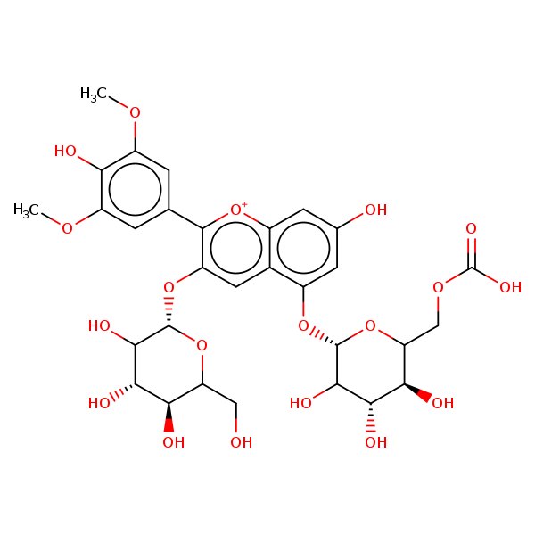 Image of MNXM22816