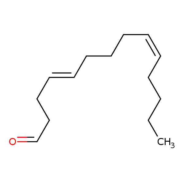 Image of MNXM22843