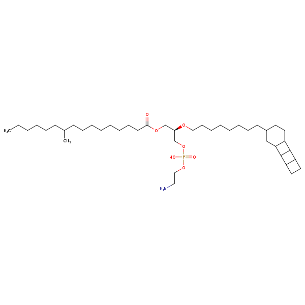 Image of MNXM22993
