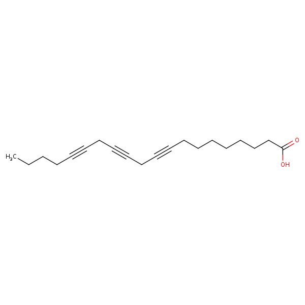 Image of MNXM23038