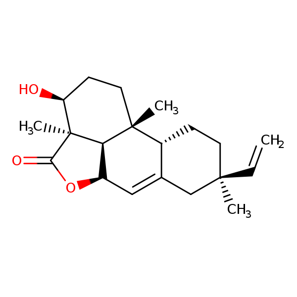 Image of MNXM2331