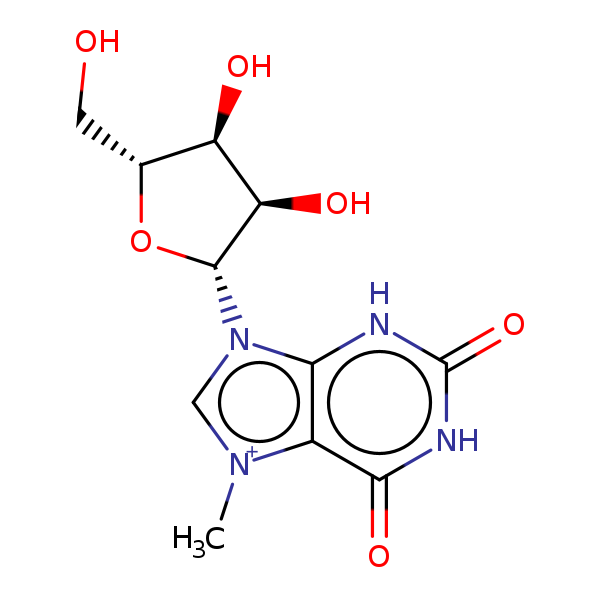 Image of MNXM2341