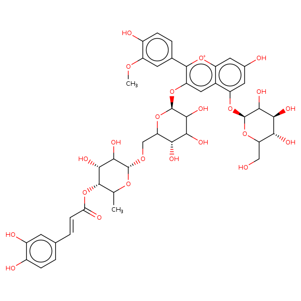 Image of MNXM23522