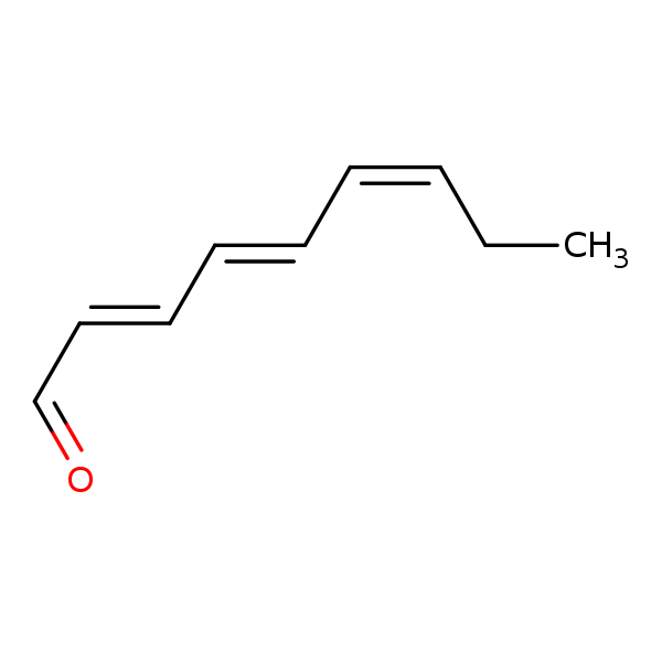 Image of MNXM24001