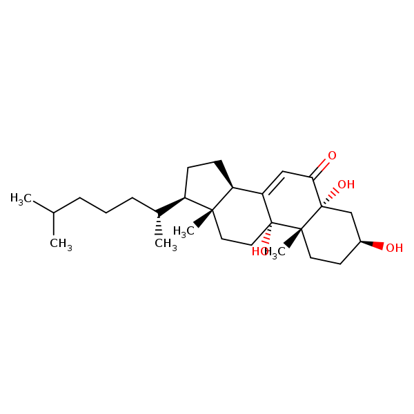 Image of MNXM24038