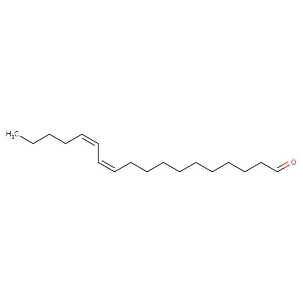 Image of MNXM24044