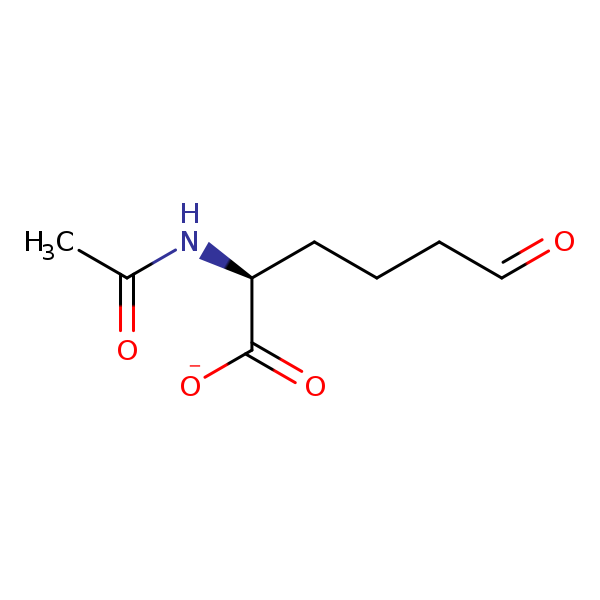 MetaNetX: MNXM2405 - N-acetyl-L-2-aminoadipate semialdehyde