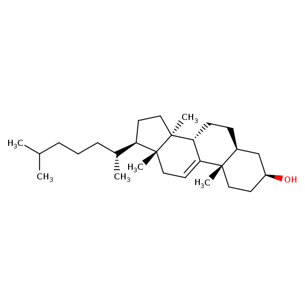 Image of MNXM24122