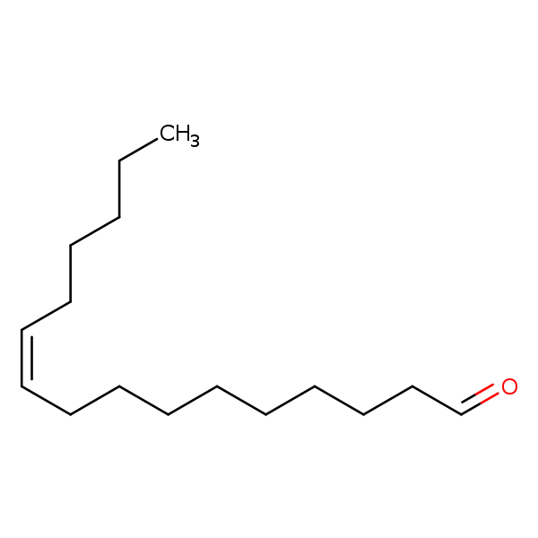 Image of MNXM24125