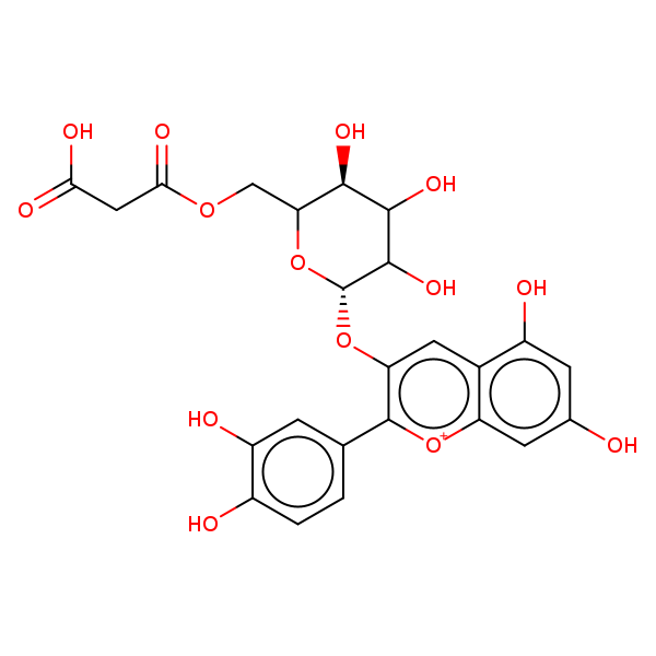 Image of MNXM24221