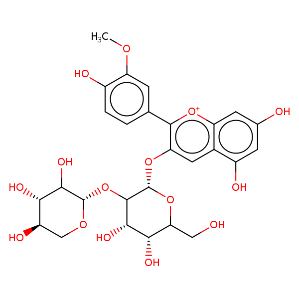 Image of MNXM24304