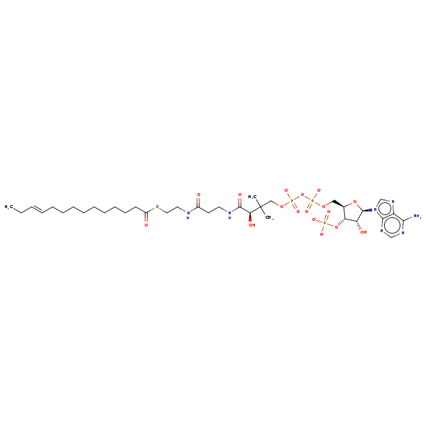 Image of MNXM2437