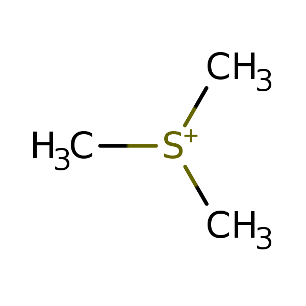 Image of MNXM2438