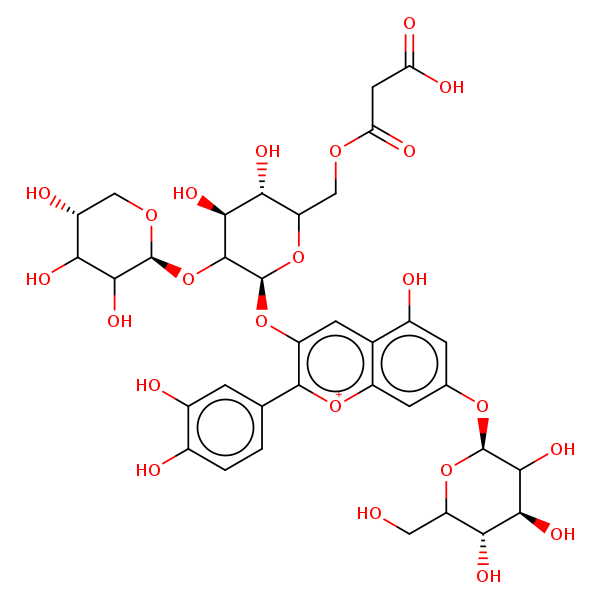 Image of MNXM24523