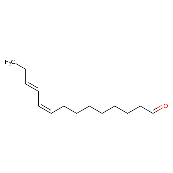 Image of MNXM24601