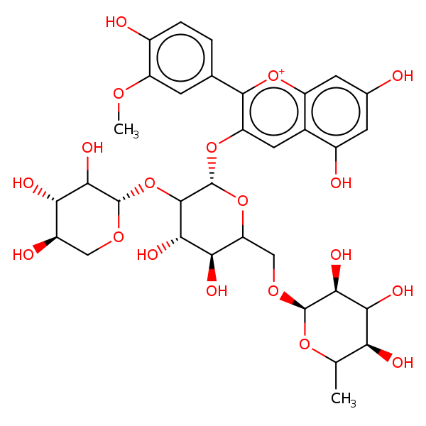 Image of MNXM24804