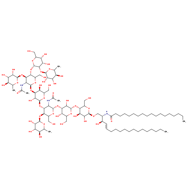 Image of MNXM24870