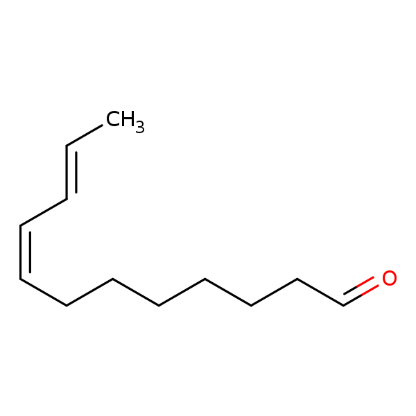 Image of MNXM24888