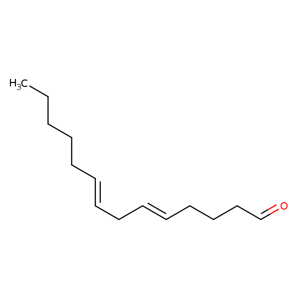 Image of MNXM25078