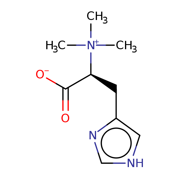 Image of MNXM2541