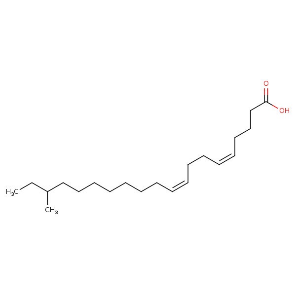 Image of MNXM25516