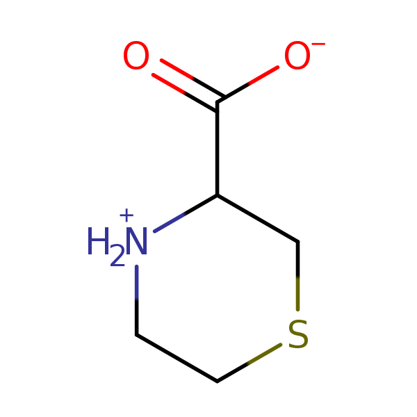 Image of MNXM2566