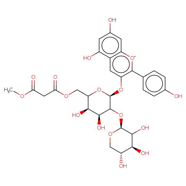 Image of MNXM26014