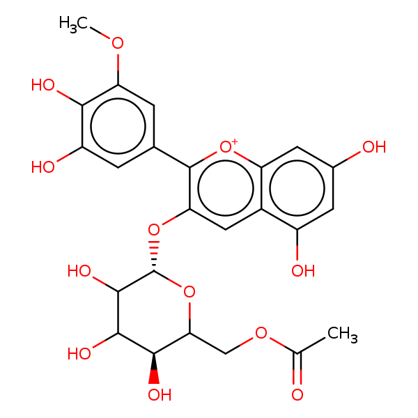 Image of MNXM26019