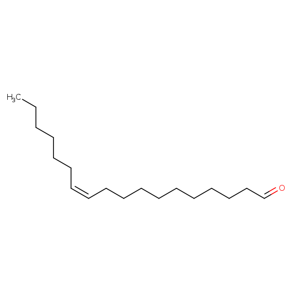 Image of MNXM26121
