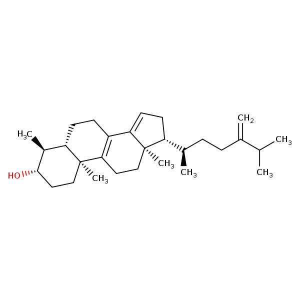Image of MNXM2619