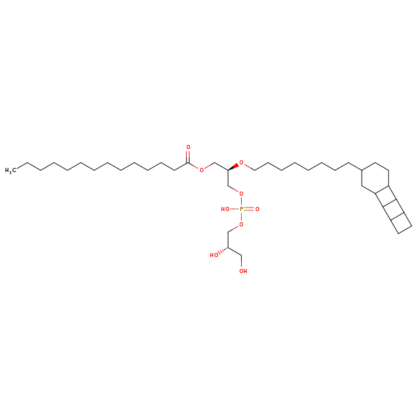 Image of MNXM26534
