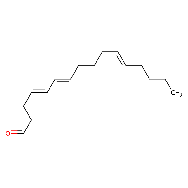 Image of MNXM26635