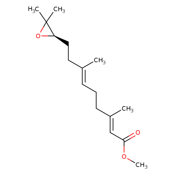 Image of MNXM2685