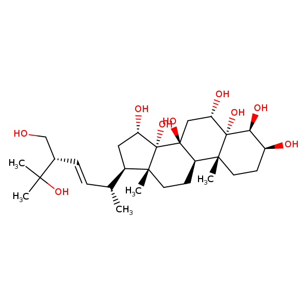 Image of MNXM27032