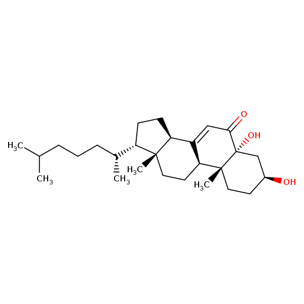 Image of MNXM28100