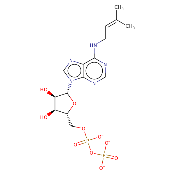 Image of MNXM2845