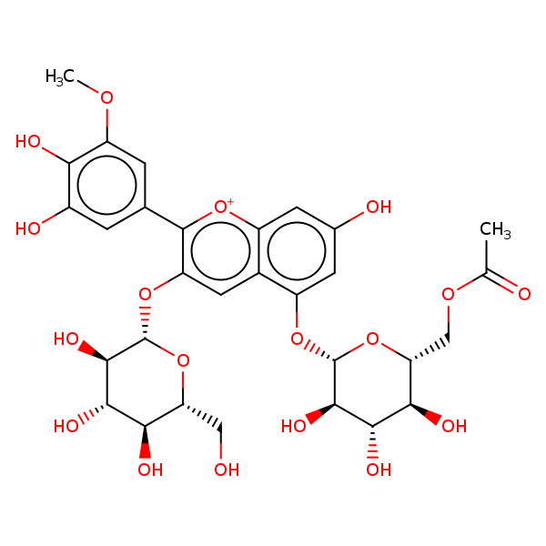 Image of MNXM28840