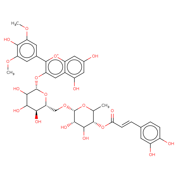 Image of MNXM29203