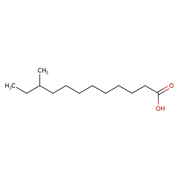 Image of MNXM30033