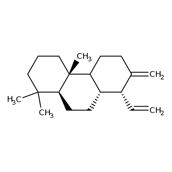 Image of MNXM30038