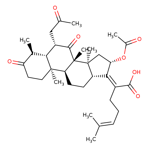 Image of MNXM30299