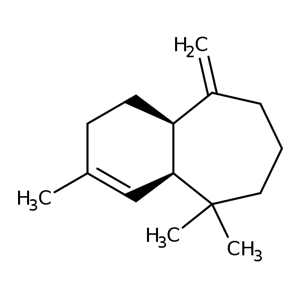 Image of MNXM30489