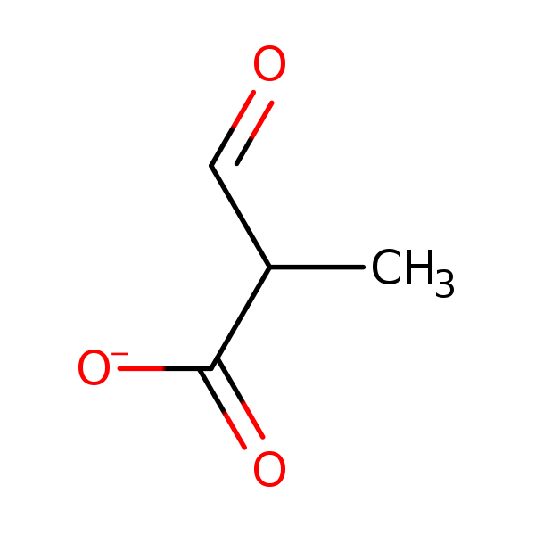 Image of MNXM305