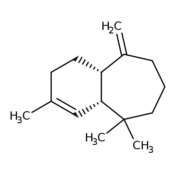 Image of MNXM30527