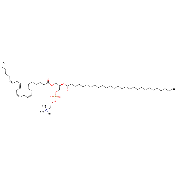 Image of MNXM318061