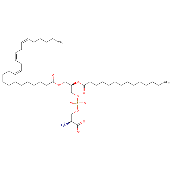 Image of MNXM318345