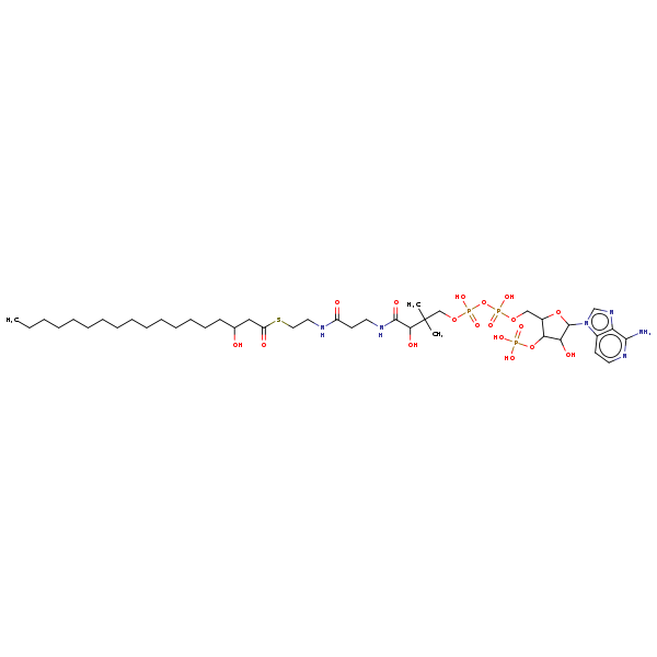 Image of MNXM31844