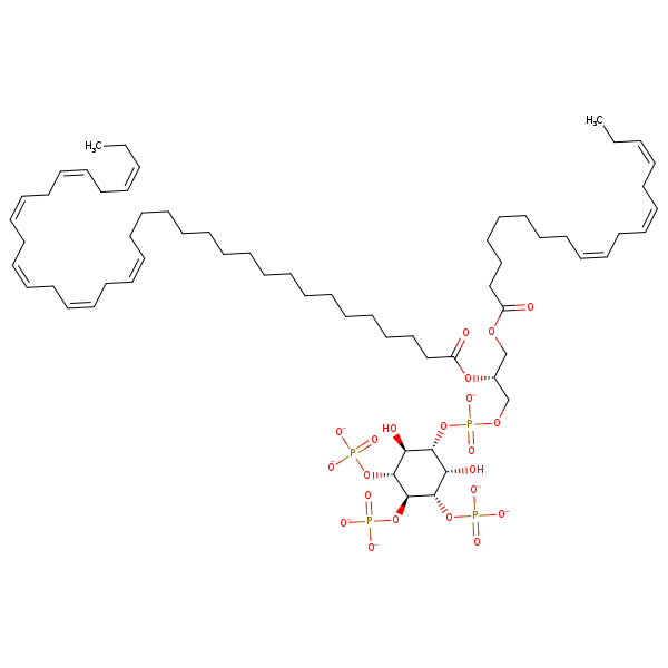 Image of MNXM319503