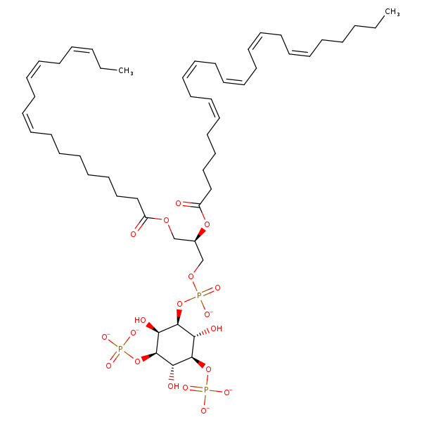Image of MNXM319921
