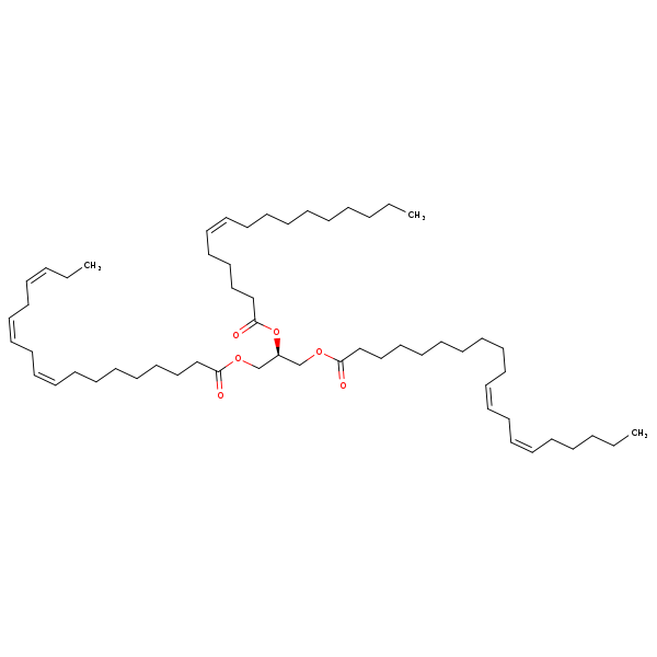 Image of MNXM320021